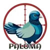 Paloma - 14 - CazaLoton