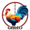 CazaLoton - 21 Gallo
