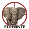 Elefante - 29 - CazaLoton