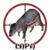 Lapa - 31 - CazaLoton