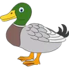 CentenaPlus - 57 Pavo
