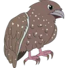 CentenaPlus - 75 Guacharo
