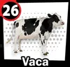 Vaca