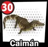 Caiman