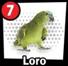 Perico