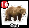 Oso