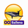 Ballena - 00 - Condor Gana