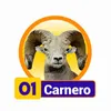Condor Gana - 01 Carnero