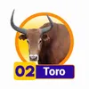 Condor Gana - 02 Toro