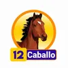 Caballo - 12 - Condor Gana