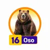 Condor Gana - 16 Oso