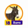 Burro - 18 - Condor Gana