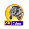 Condor Gana - 23 Cebra