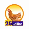 Gallina - 25 - Condor Gana