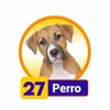 Perro - 27 - Condor Gana