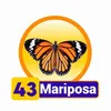 Condor Gana - 43 Mariposa
