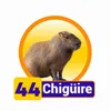 Condor Gana - 44 Chiguire