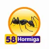 Hormiga - 58 - Condor Gana