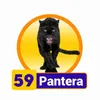 Condor Gana - 59 Pantera