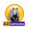 Condor Gana - 62 Cachicamo