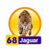 Condor Gana - 68 Jaguar