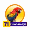 Condor Gana - 71 Guacamaya