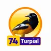 Condor Gana - 74 Turpial