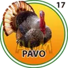El Granjazo - 17 Pavo
