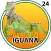 El Granjazo - 24 Iguana