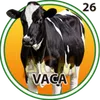 Vaca - 26 - El Granjazo