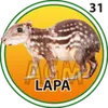 Lapa - 31 - El Granjazo