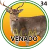 Venado - 34 - El Granjazo