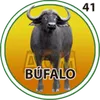 El Granjazo - 41 Bufalo