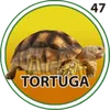 El Granjazo - 47 Tortuga