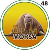 El Granjazo - 48 Morsa
