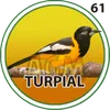 El Granjazo - 61 Turpial