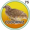 El Granjazo - 75 Codorniz