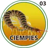 Ciempies - 03 - Granja Millonaria