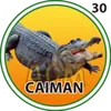 Granja Millonaria - 30 Caiman