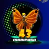 GranjitaPlus - 43 Mariposa