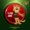 Puma - 46 - GranjitaPlus