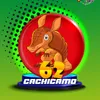Cachicamo - 62 - GranjitaPlus