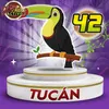 Tucan - 42 - GuacharoActivo