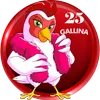 Gallina - 25 - La Granjita