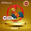 Loto Activo RD INT - 21 Gallo