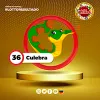 Loto Activo RD INT - 36 Culebra