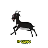 Lotto Pantera - 19 Chivo