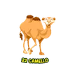 Camello - 22 - Lotto Pantera