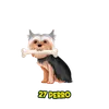 Lotto Pantera - 27 Perro