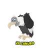 Lotto Pantera - 28 Zamuro